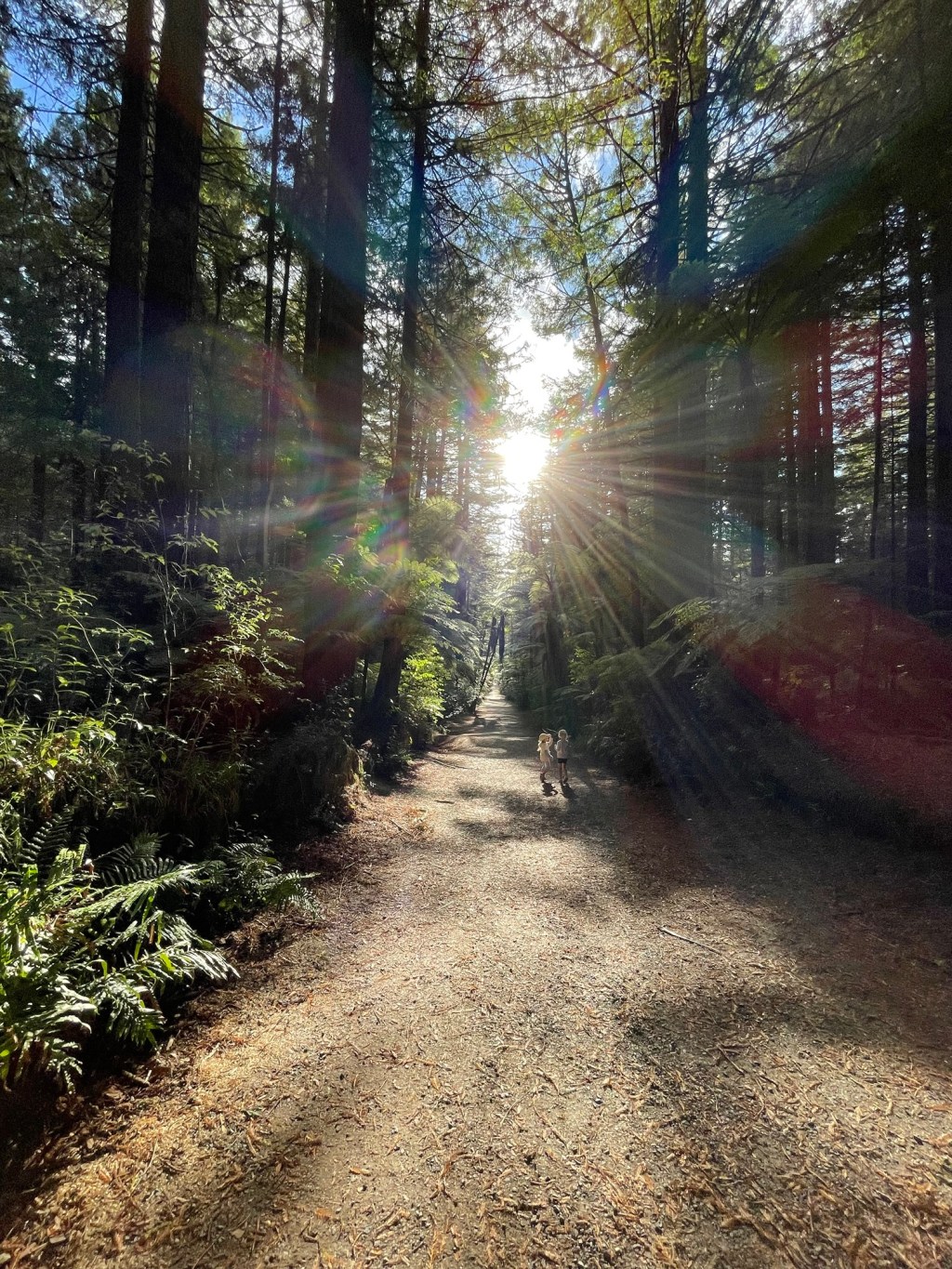 Are you a lukewarm&nbsp;Christian?