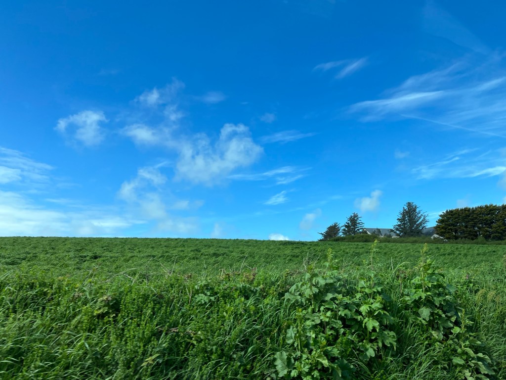 Finding God in the Hardest Moments – Held Through the Pain