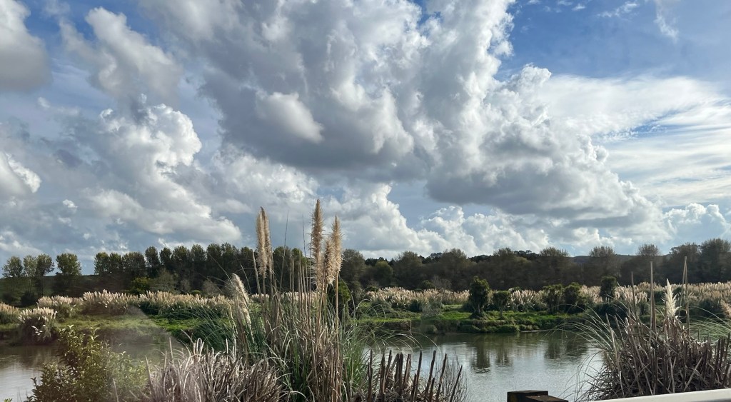 The Need to Be&nbsp;Needed