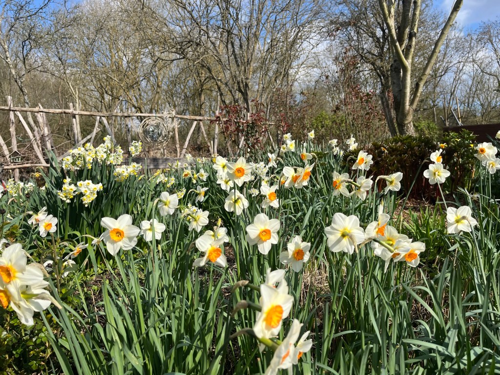 Psalm 136 – His Faithful Love Endures&nbsp;Forever