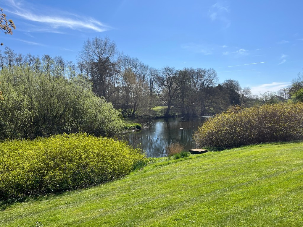 Where Your Treasure&nbsp;Is