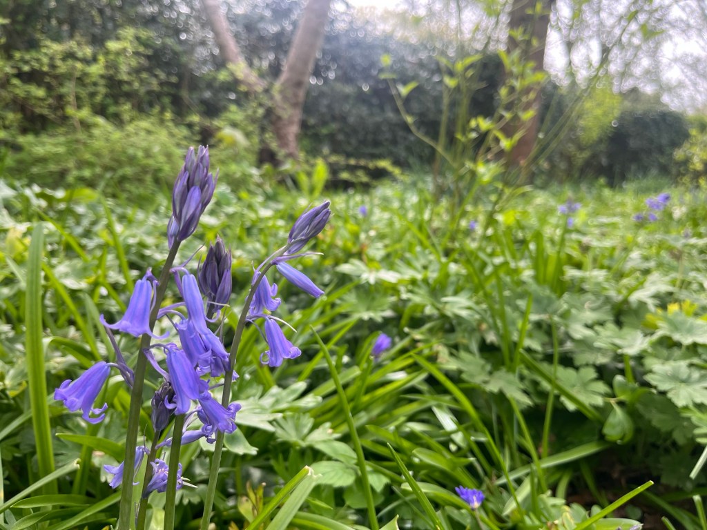 When Faith Falters, Grace Remains