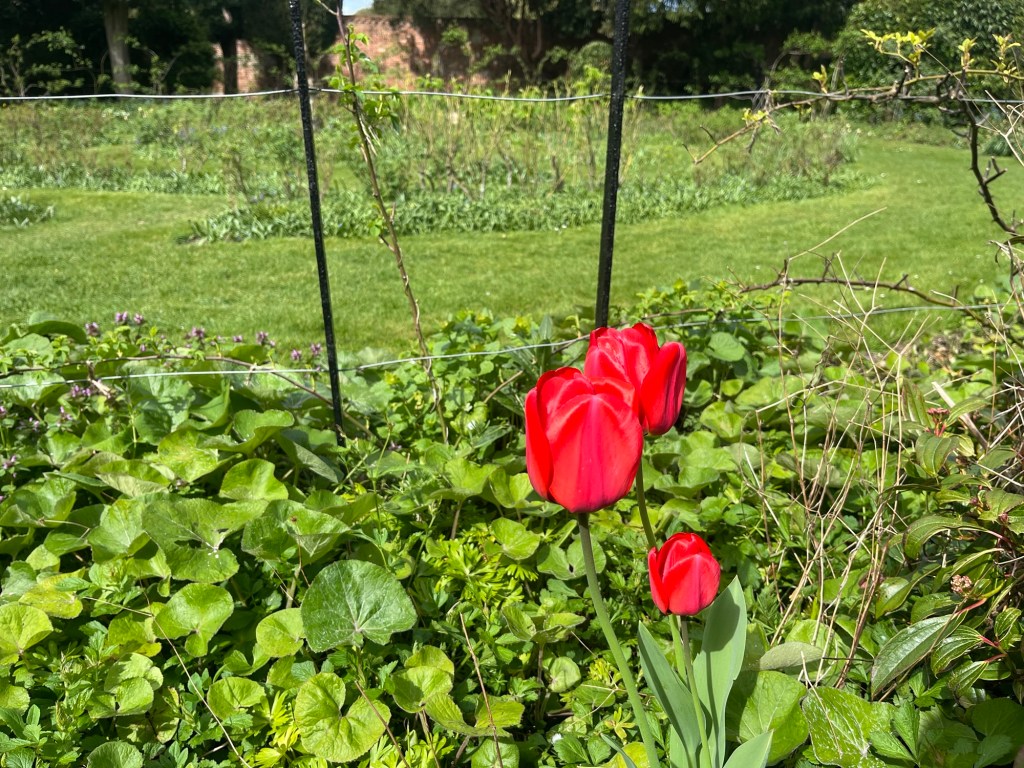 The Beauty and Wellness Industry Can Be Spiritually Dangerous — Here’s&nbsp;Why